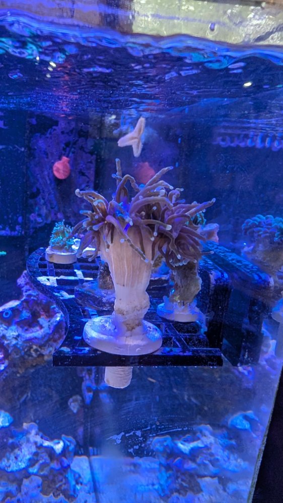 PXL_20260308_201912519.jpg