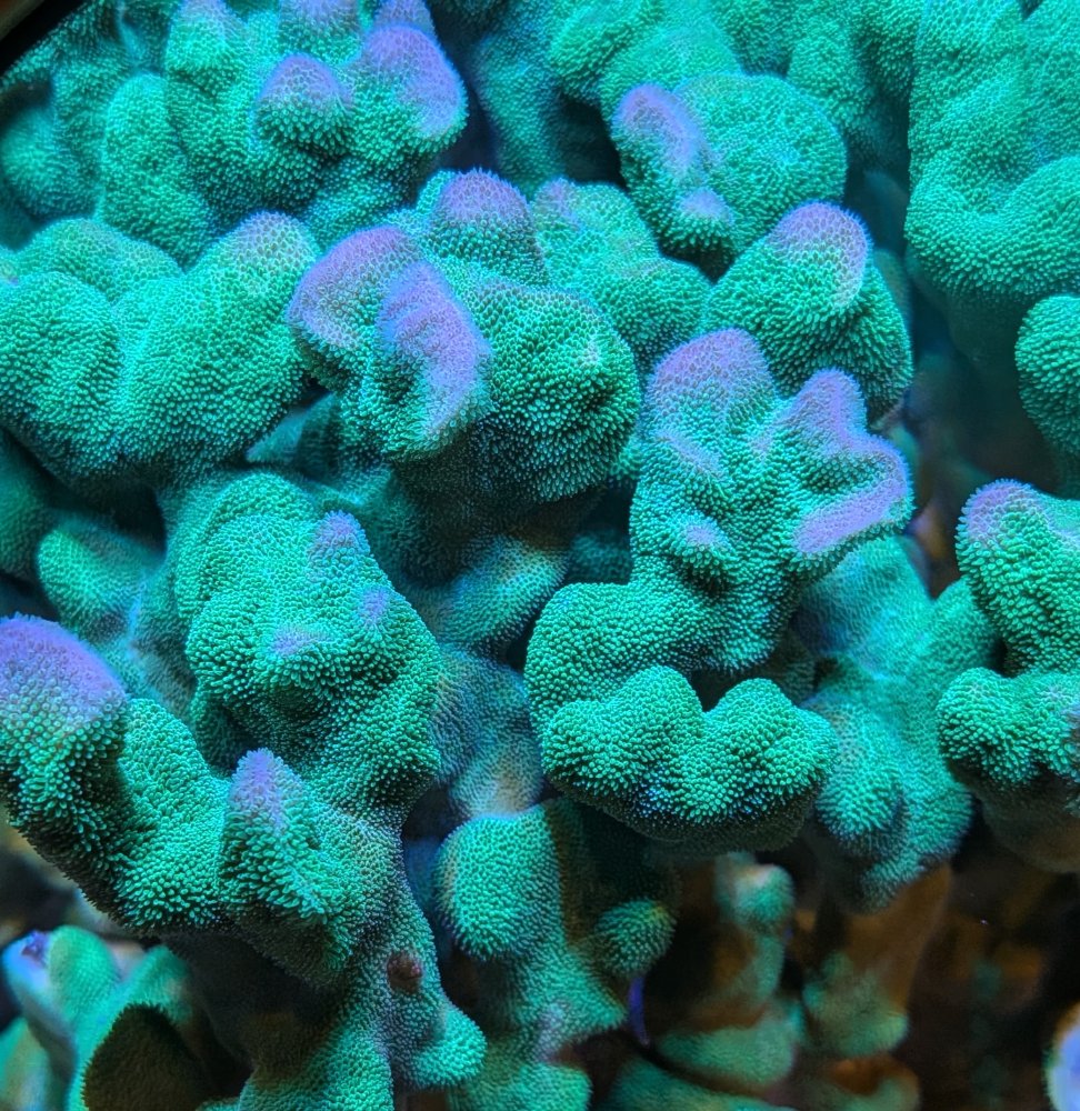 PXL_20260309_192613896.jpg