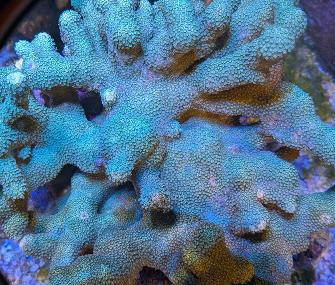 PXL_20260309_192626523.jpg