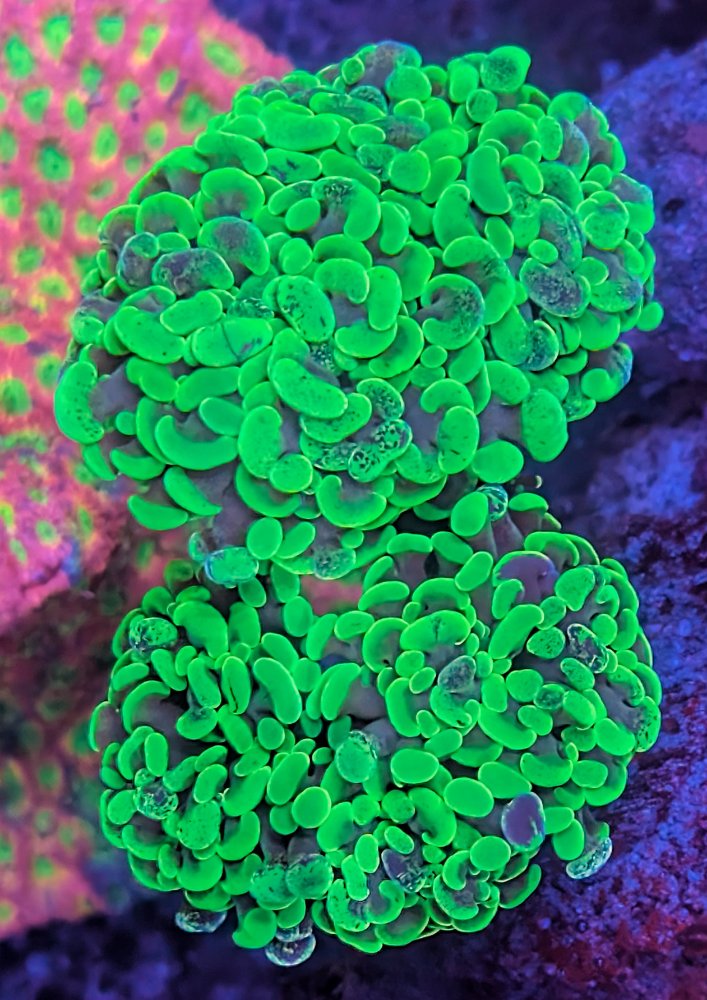 PXL_20260328_023408758~2.jpg