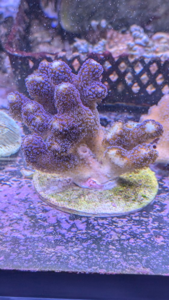 PXL_20260405_230045082.jpg