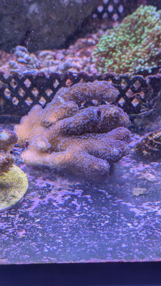 PXL_20260405_230048912.jpg