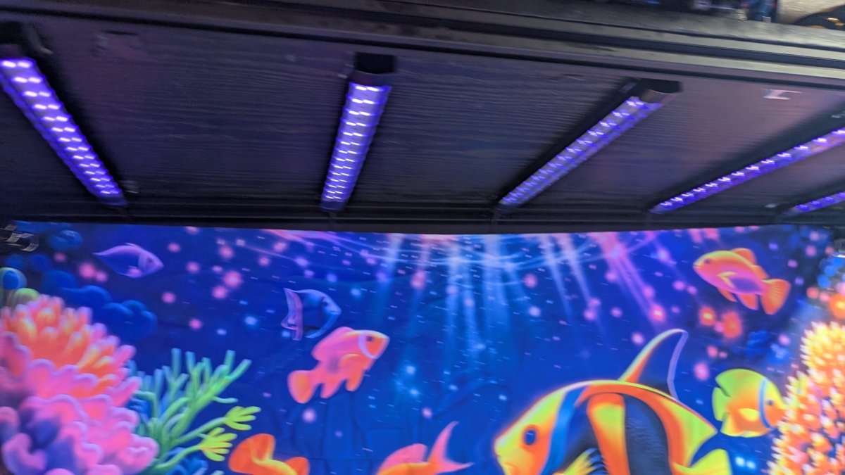 PXL_20260603_205253993.jpg