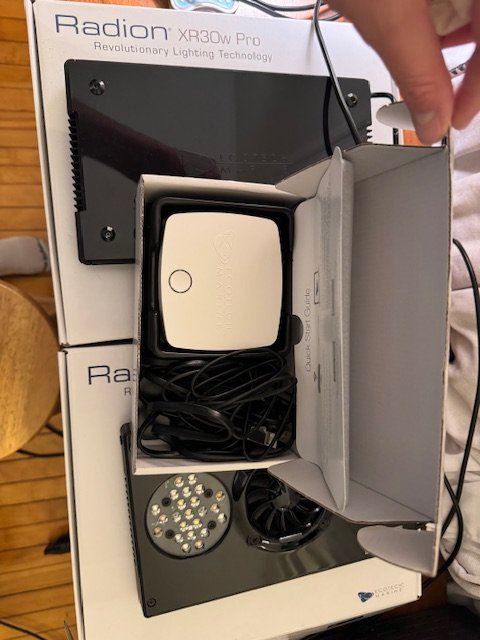 radion1.jpg