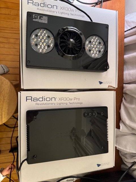 radion3.jpg