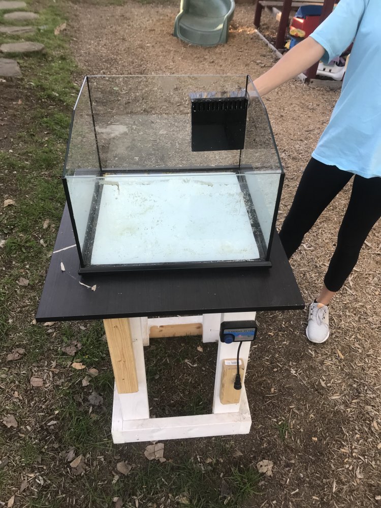 Rimless cube.jpg