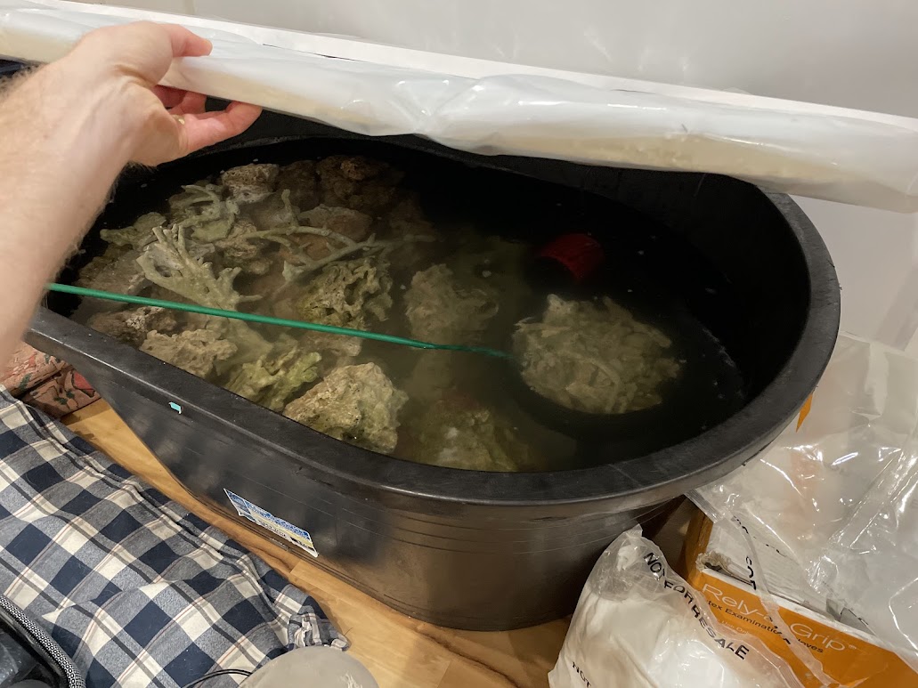 Rock Tub 1.jpg