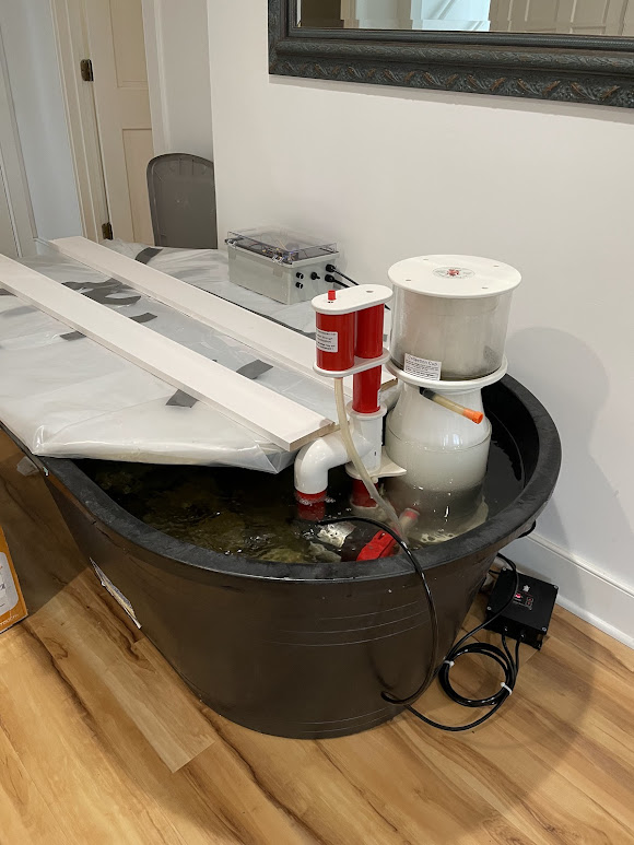 rock tub 2.jpg