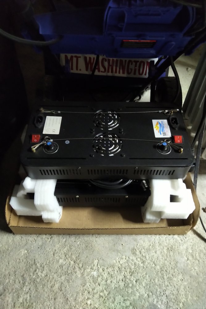 SB Reeflight.jpg
