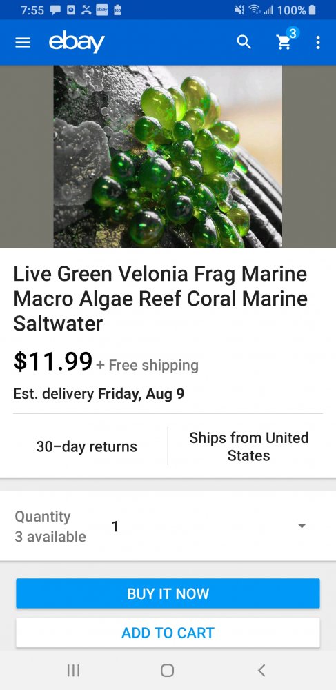 Screenshot_20190801-195544_eBay.jpg