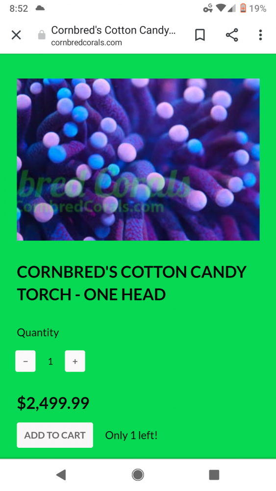 Screenshot_20190903-205219.png