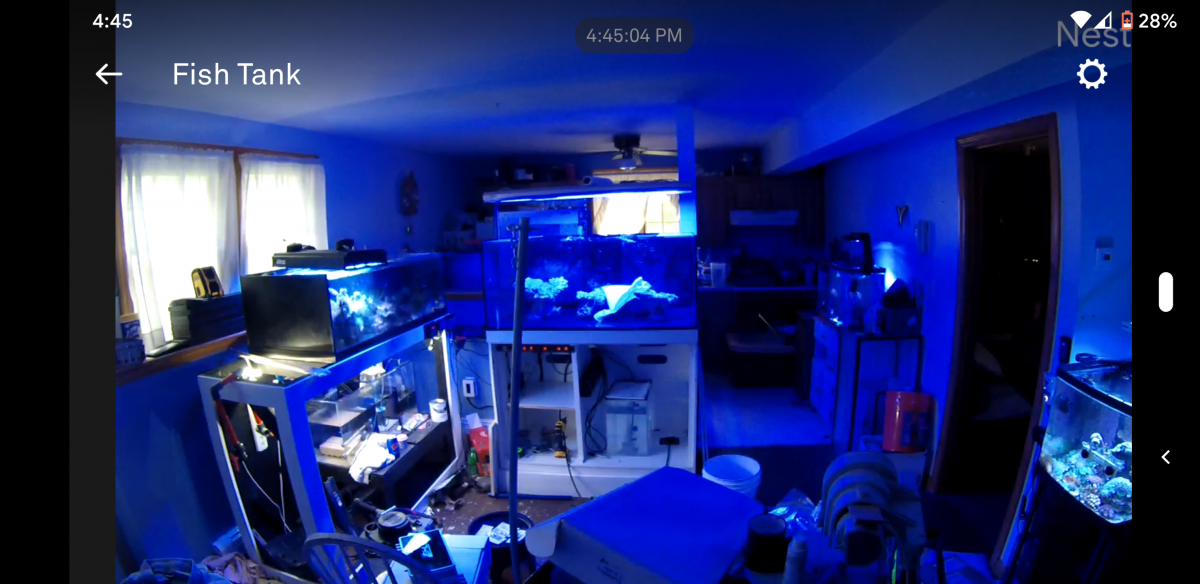 Screenshot_20200915-164506.png