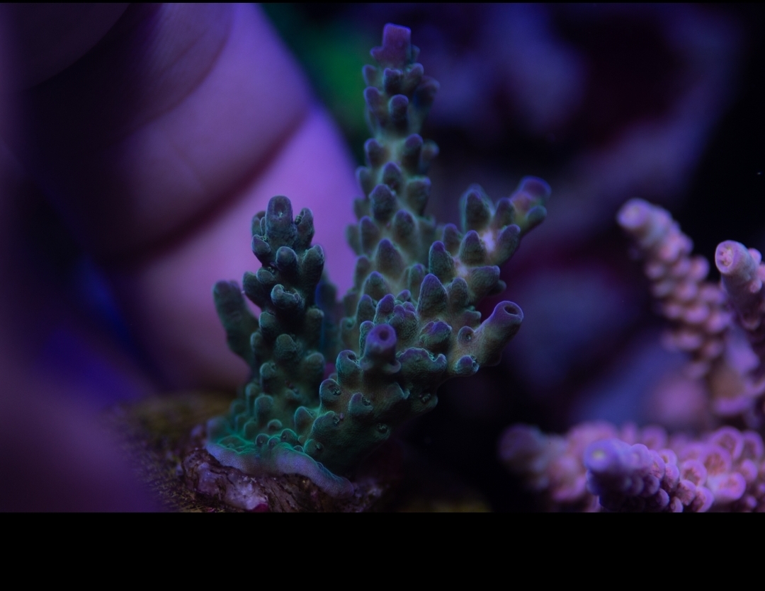 Screenshot_20200917-213027_Lightroom.jpg
