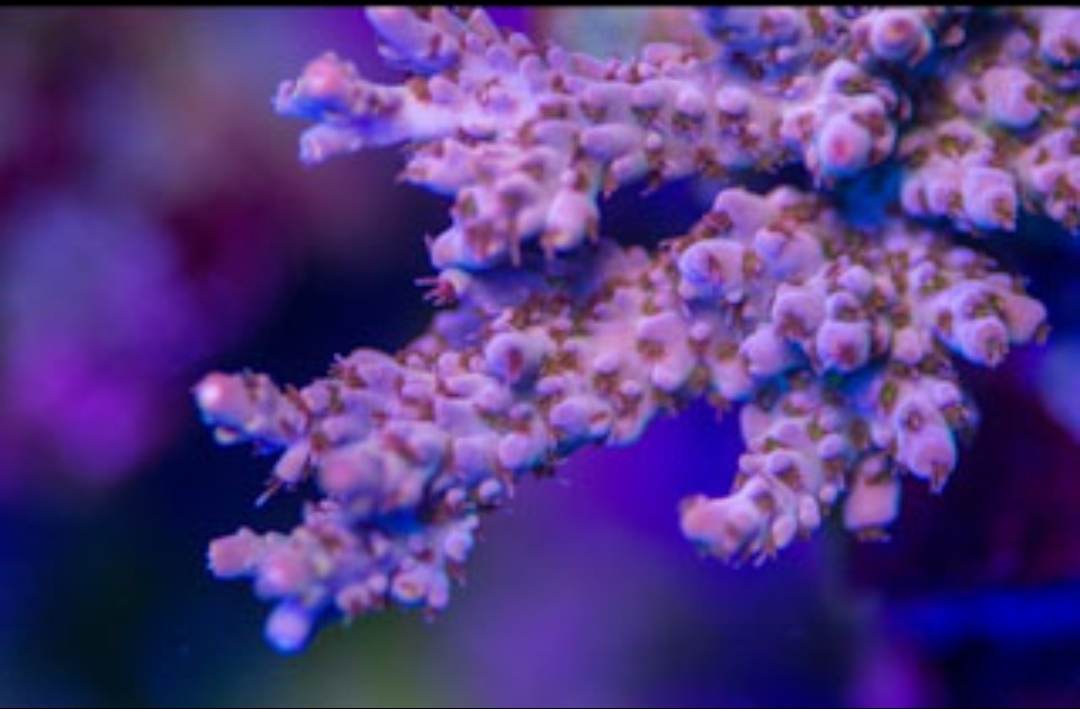 Screenshot_20200918-062101_Lightroom.jpg