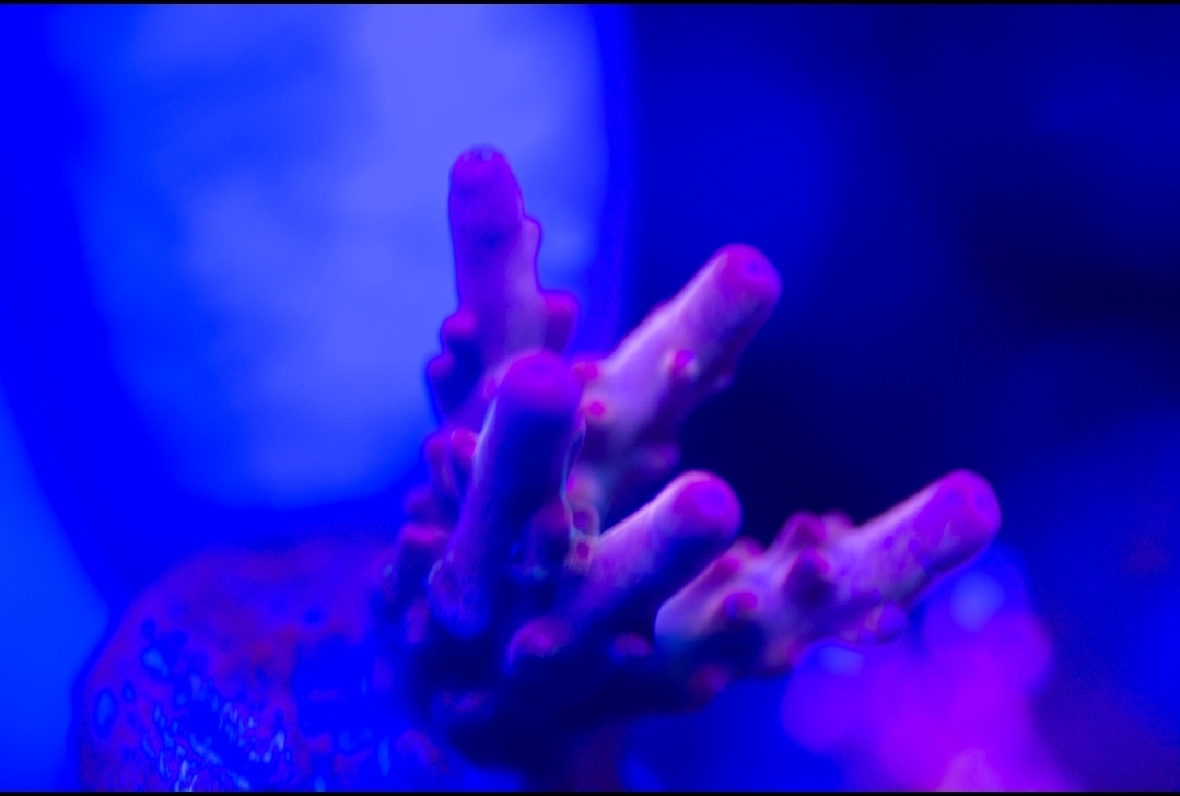 Screenshot_20210130-213853_Lightroom.jpg