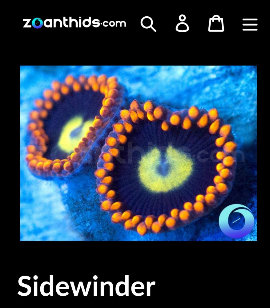 Screenshot_20210303-131255_Chrome.jpg