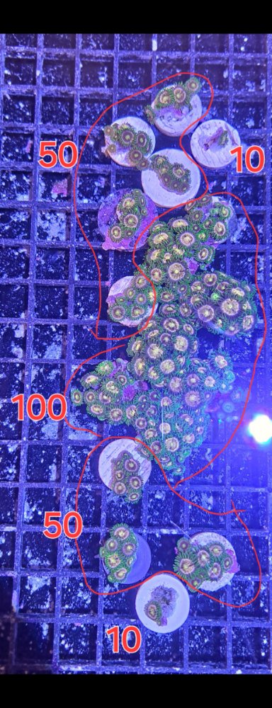 Screenshot_20241014_164847_Gallery.jpg