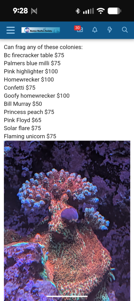 Screenshot_20251218-092837.png