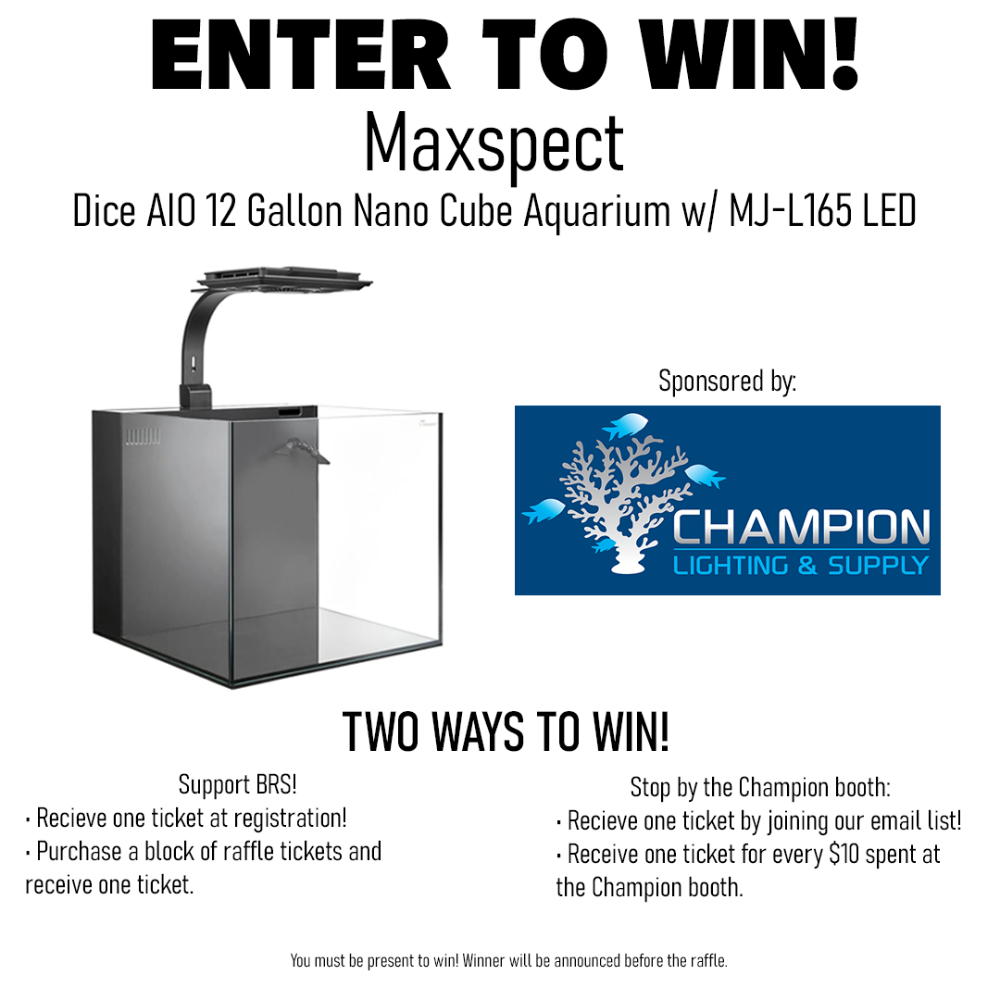 Show Raffle BRS.png