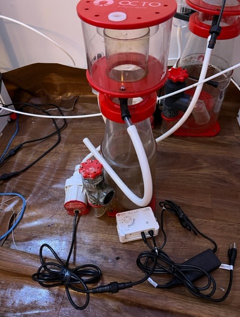 Skimmer a.jpg