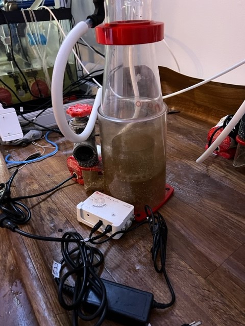 Skimmer b.jpg