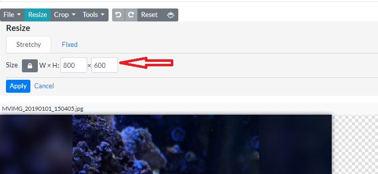 Step2.JPG