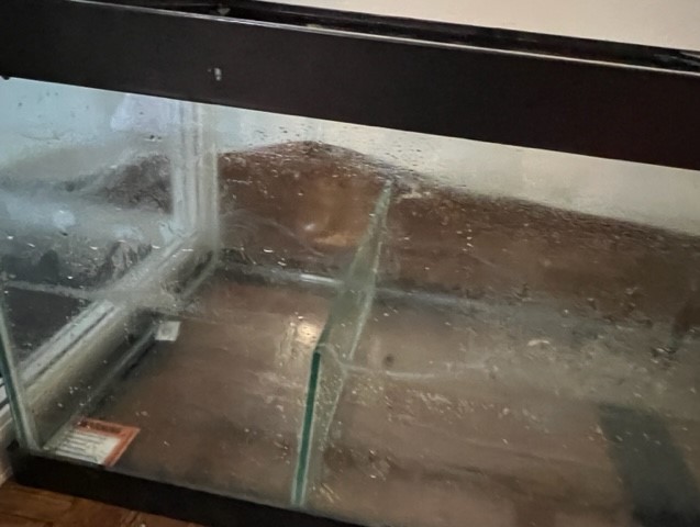 Sump .bjpg.jpg