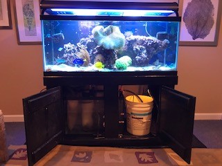 sump.jpg