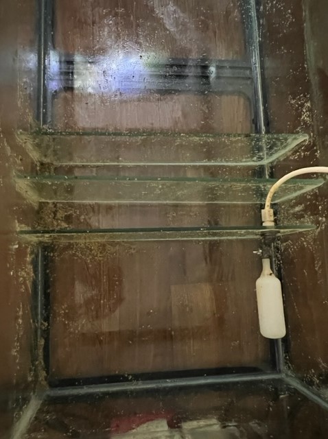 Sump top pump chamber.jpg