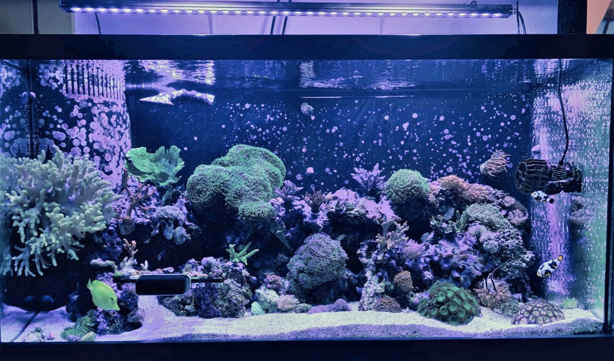TANKPIC1.jpg