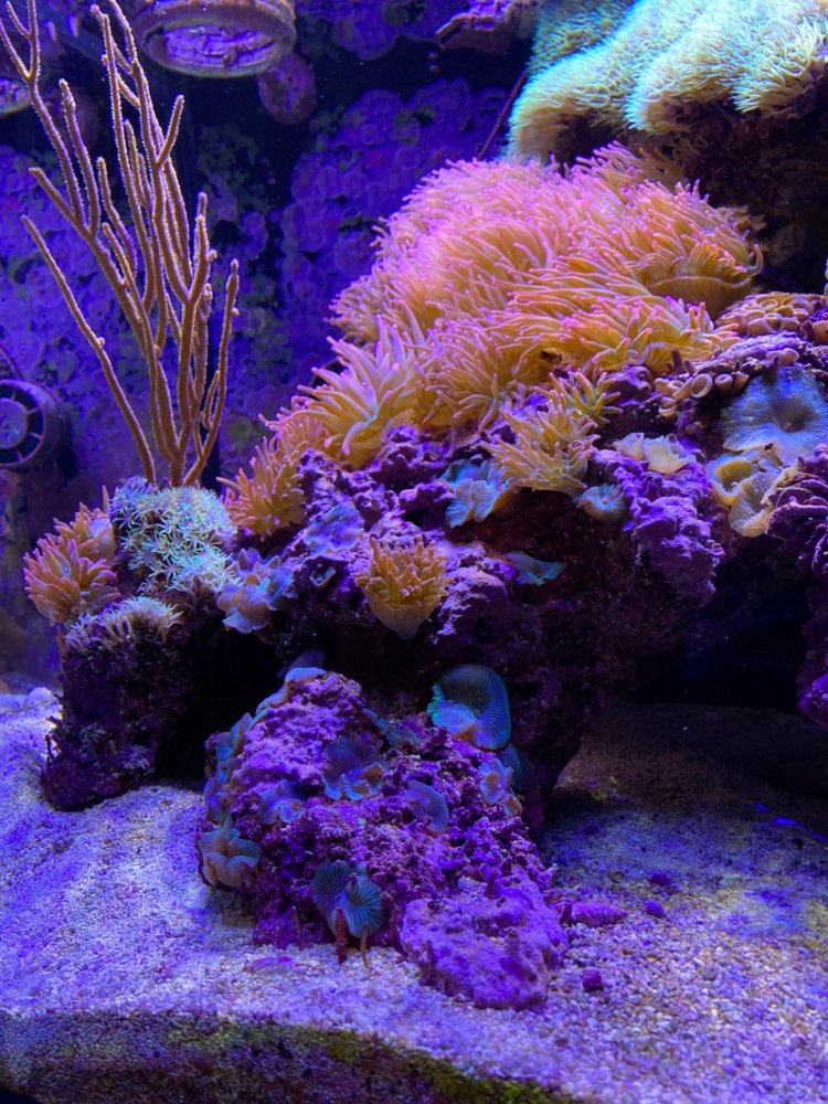 thumbnail_IMG_3319.jpg