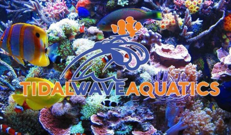 TWAquatics.JPG