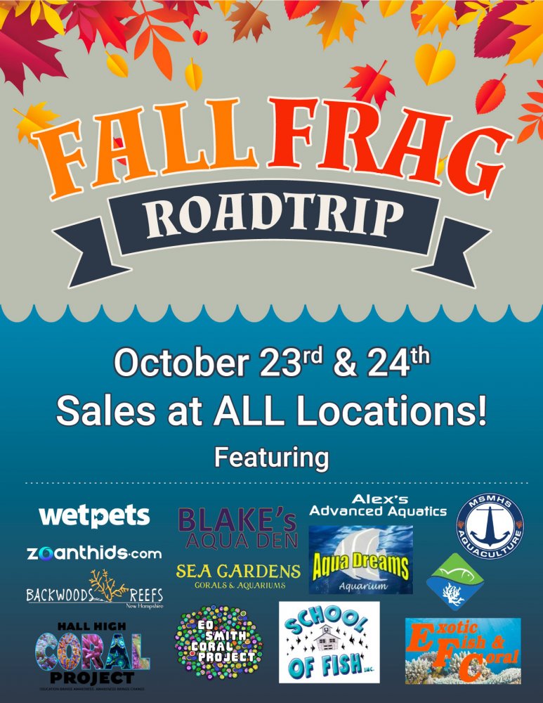 unnamed (4).jpg