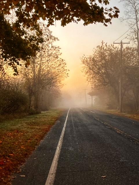 Walk in fog.jpeg