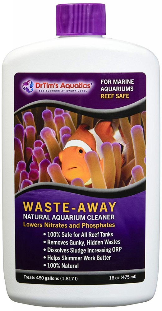 Waste Away.jpg