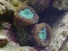 Fish Pics 043.jpg