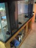 mini-116_1641.JPG