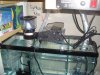 Picture 004.jpg
