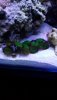 IMG-20190327-WA0012.jpeg