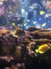 A79E30E4-ADCA-44C9-AEA6-B6D8411EB0A2.jpeg