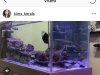 44B94550-E109-460B-8DE7-67965DD76969.jpeg