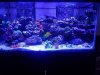 20190505_191852_1557098424443.jpg