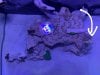 FTS 2019May04 top down.jpg