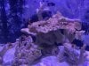 FTS 2019May04.jpg