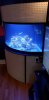 20190625_141543.jpg