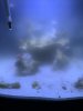 DD2B7AA0-3DC7-4531-AB0F-98AAD26E66A0.jpeg