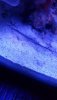 20190721_194449.jpg