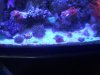 IMG_20190818_104717_01.jpg
