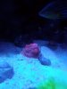 20190917_143739.jpg