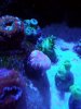20190917_143836.jpg